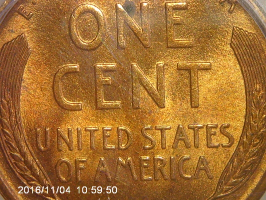 Coin-Shop-Coin,-Grade-Came-Back-Cleaned.