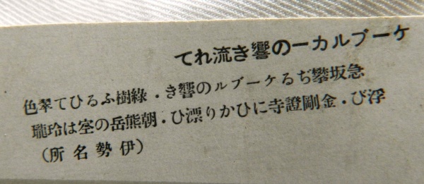 Can-Anyone-Translate-This-For-Me?