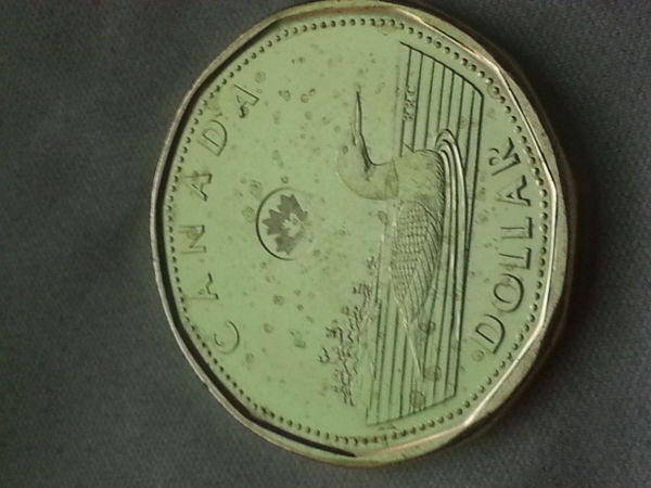 2013-Loonie-Grease?