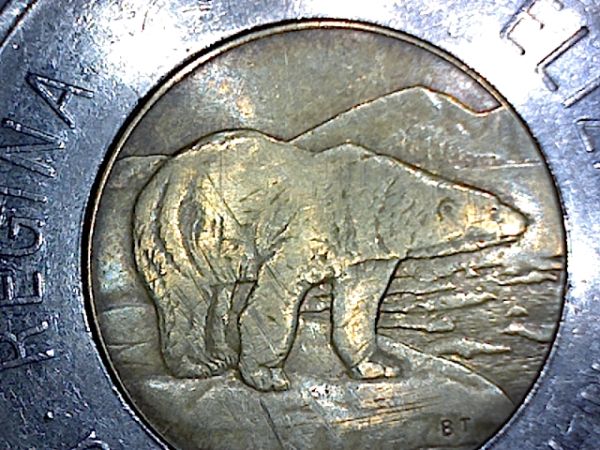 1996-Toonie