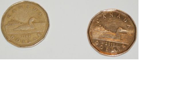 Loone-Coin-Colour