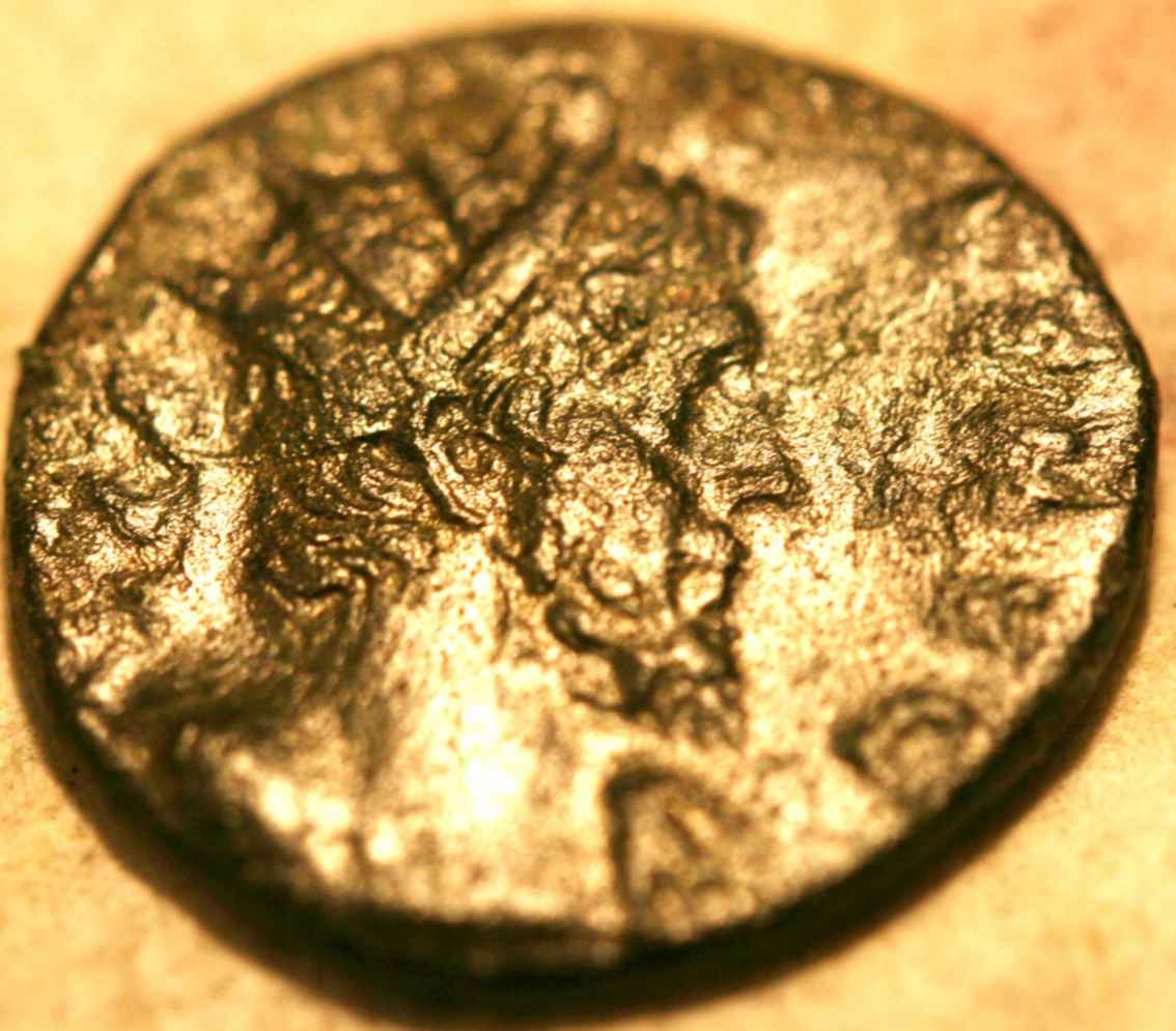 Help-With-Identification-Please