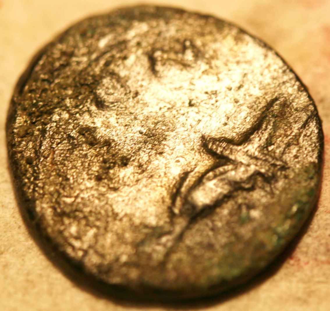Help-With-Identification-Please