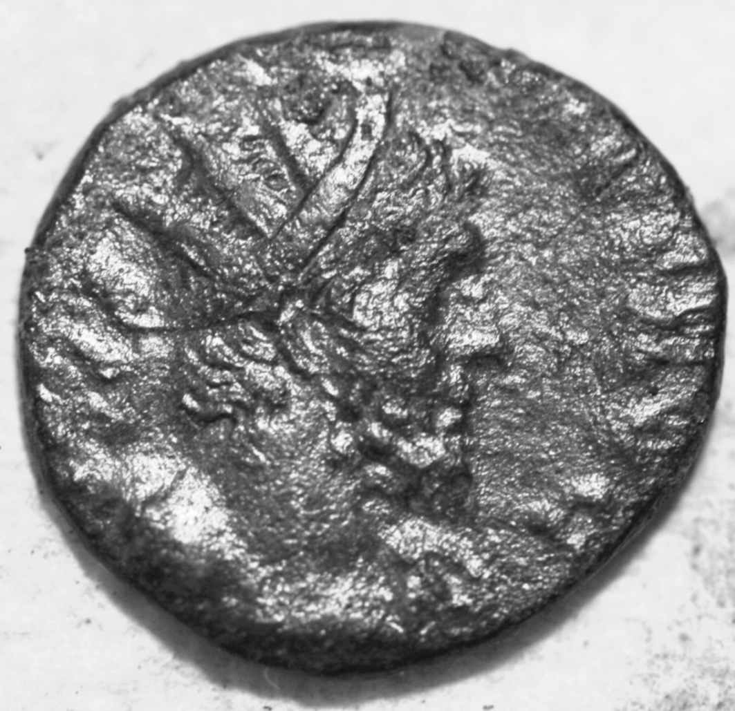 Help-With-Identification-Please