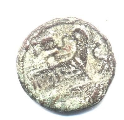 Republican-Coin