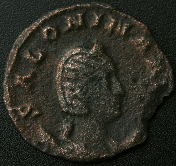 Salonina