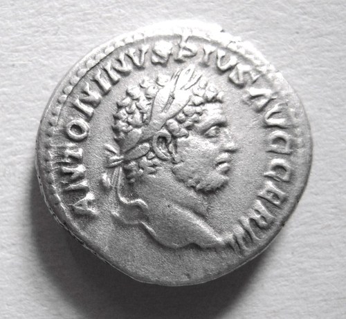 Caracella
