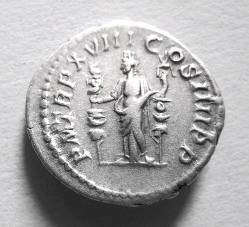 Caracella