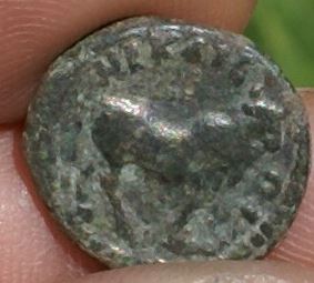 Provincial-Coin-Will-Bull