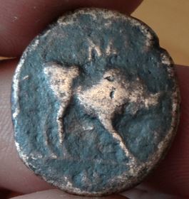 Anyone-ID-This-Please?