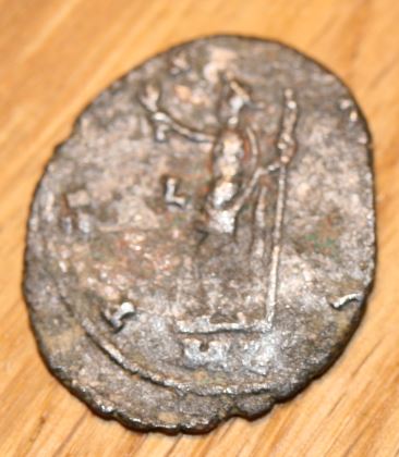 Carausius