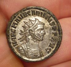 Silvered-Carinus