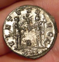 Silvered-Carinus