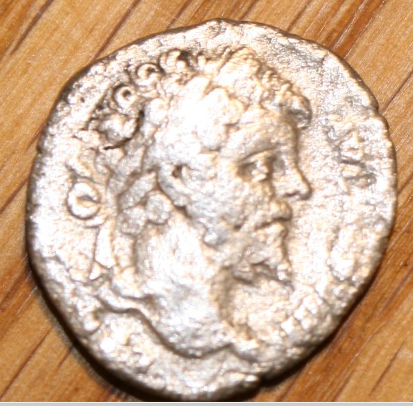 Septimius-Severus-Elephant