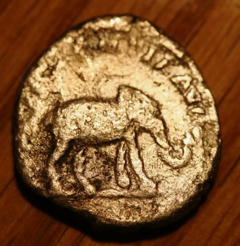 Septimius-Severus-Elephant