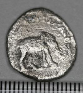 Elephant?-For-Pishpash