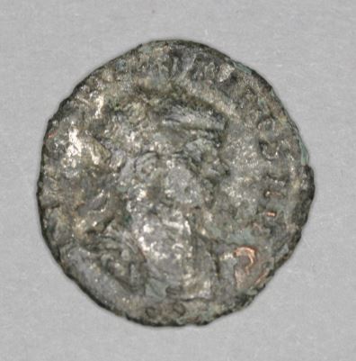 Struggling-To-ID