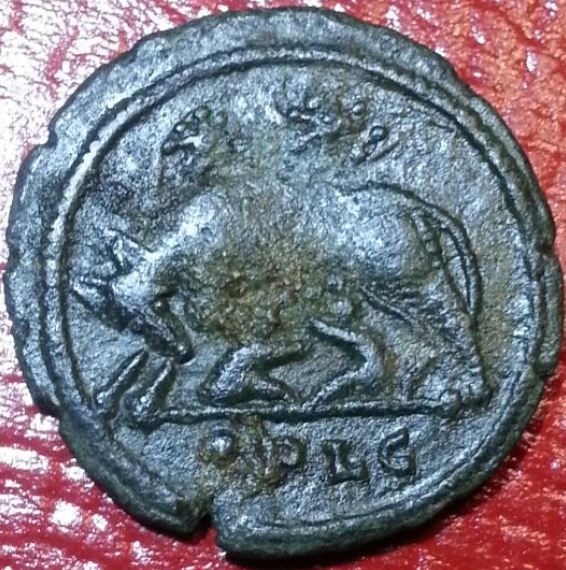 Coin-No-1-Posted-On-Behalf-Of-Wolf