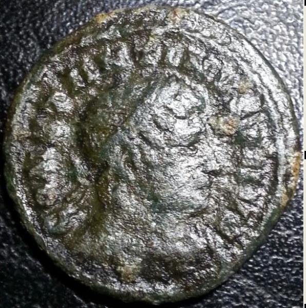 Coin-No-5-On-Behalf-Of-Wolf