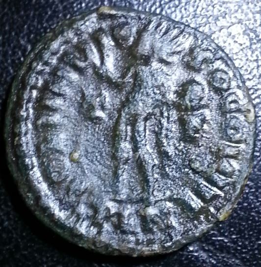 Coin-No-5-On-Behalf-Of-Wolf