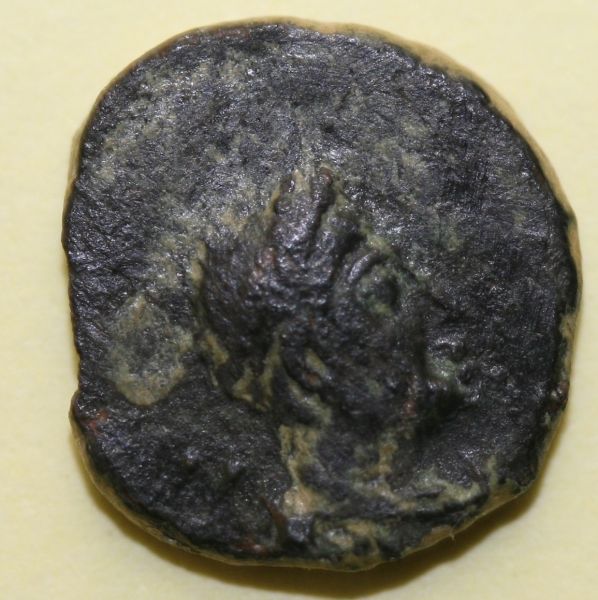 Tiny-Coin-1