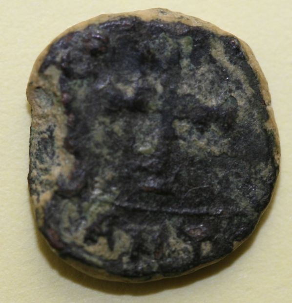 Tiny-Coin-1