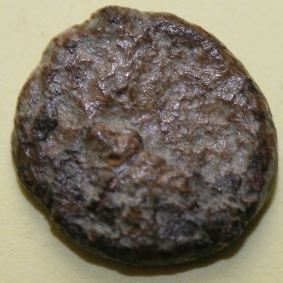 Tiny-Coin-No-3