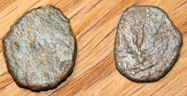 Barbarous-Radiates?
