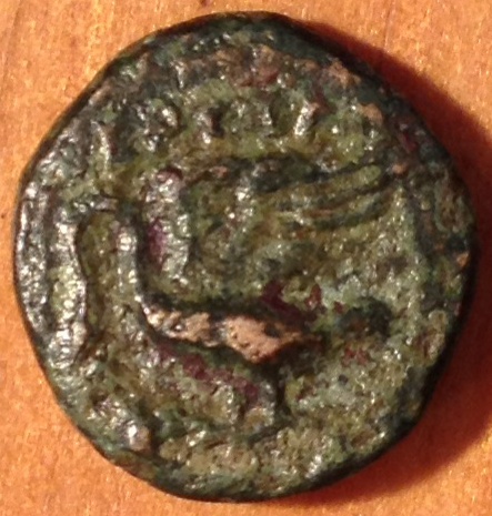 Greek---Possibly-Rare