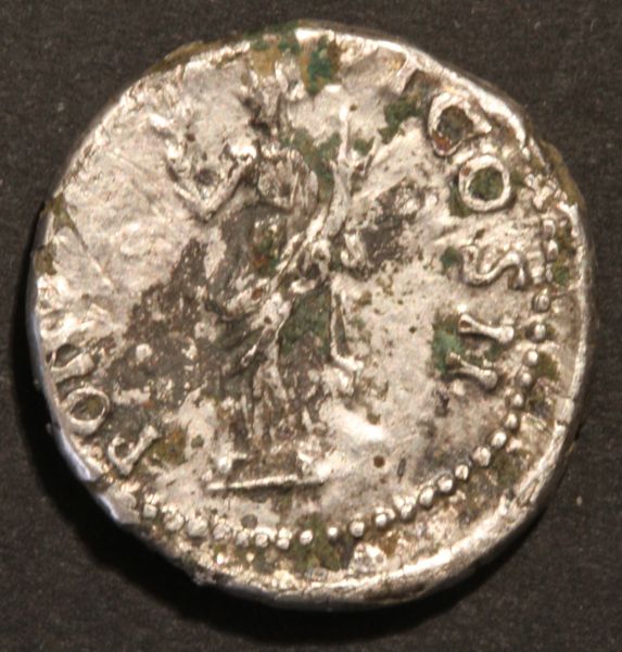 Nerva---2-Questions