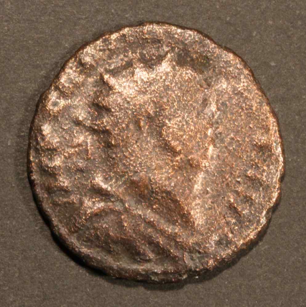 Barbarous-Carausius