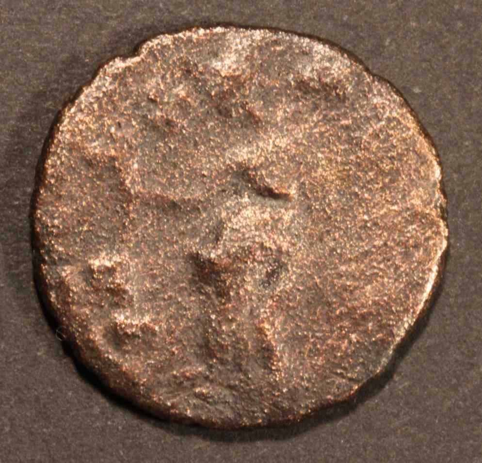Barbarous-Carausius