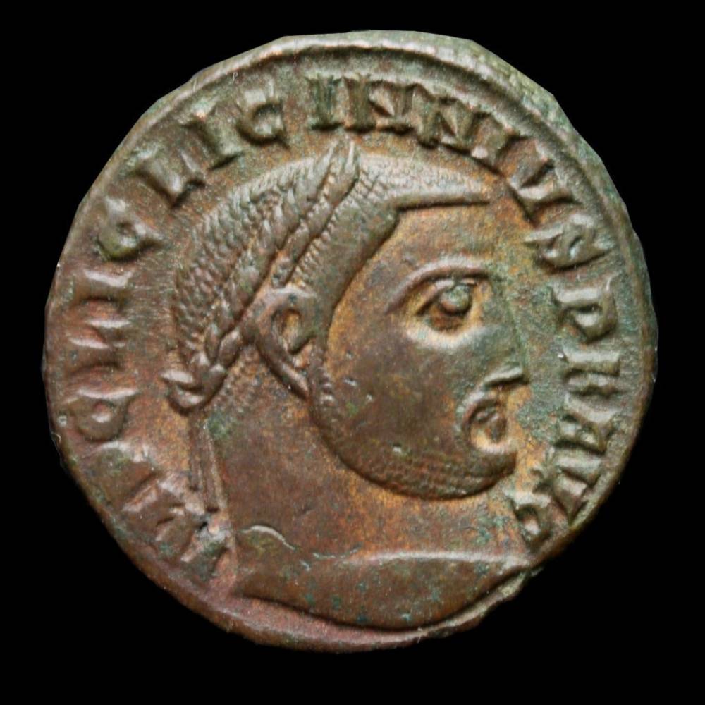 Pretty-Licinius-I---No-Cleaning-Requred