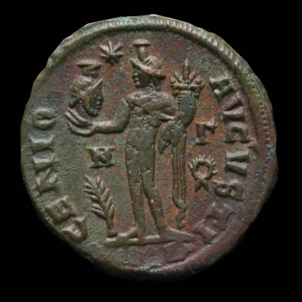 Pretty-Licinius-I---No-Cleaning-Requred