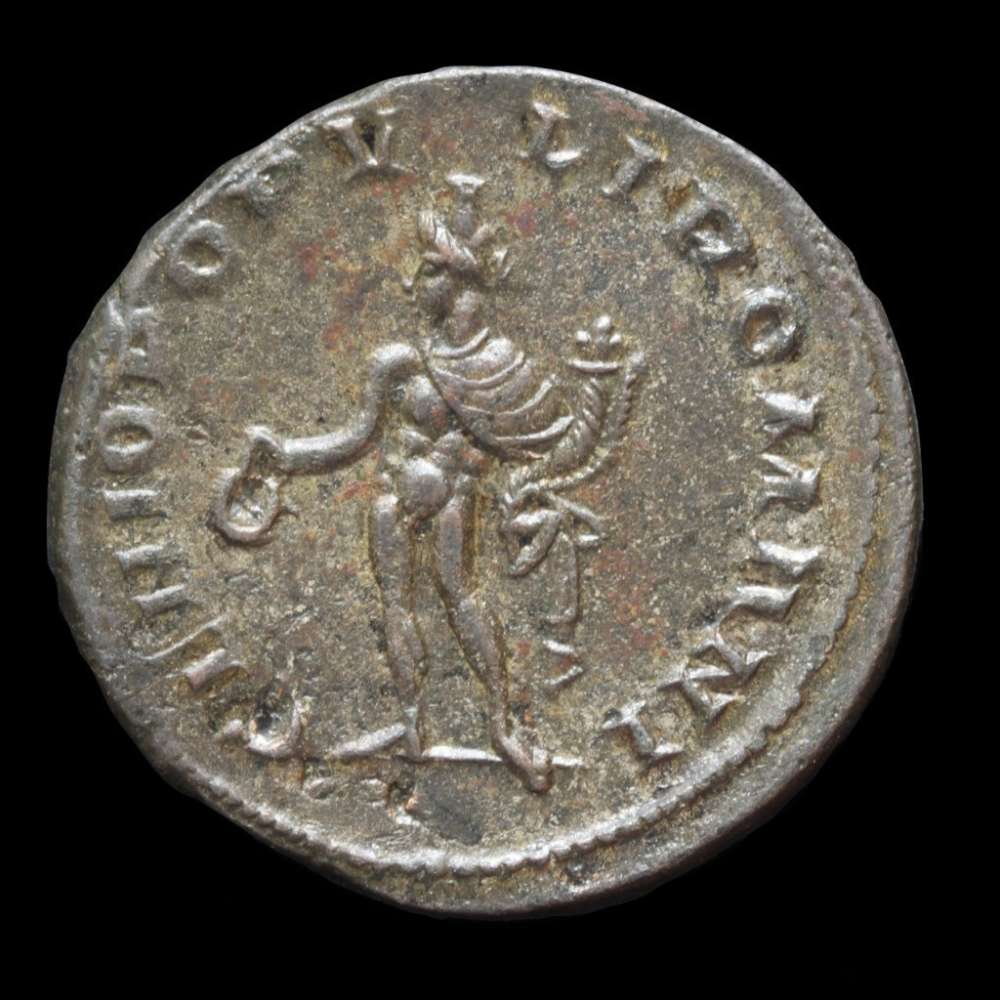 New-Galerius-Follis
