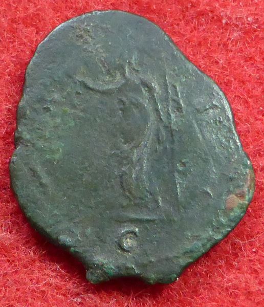 Carausius