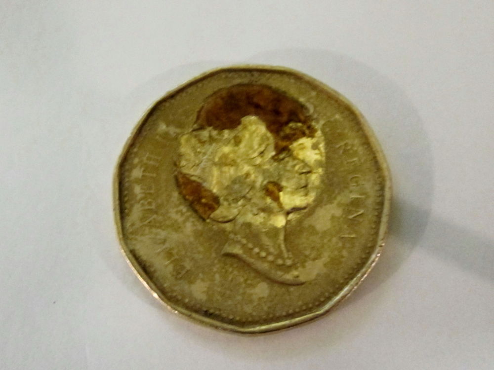 Canadian-Loonie-Error-Or-Not