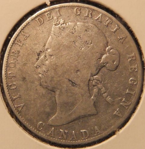 My-1901-50-Cents