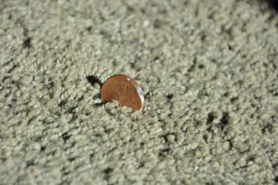 2004-Penny-Mint-Defect