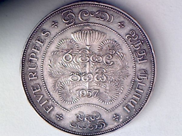 Coin-Show-Picks