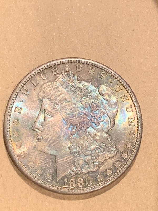 1880-S-Morgan-Dollar-With-Toning-For-Grading