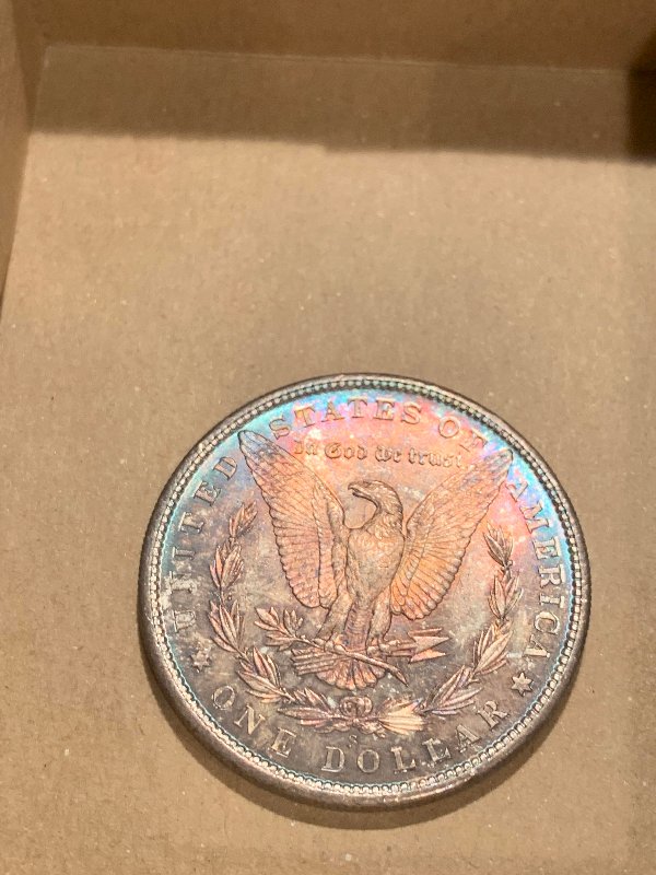 1880-S-Morgan-Dollar-With-Toning-For-Grading