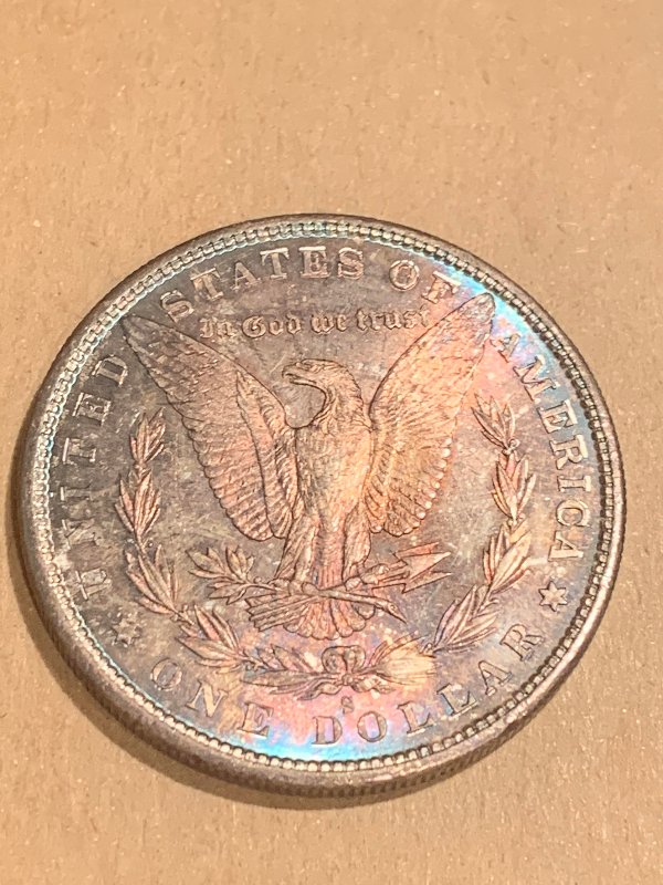 1880-S-Morgan-Dollar-With-Toning-For-Grading
