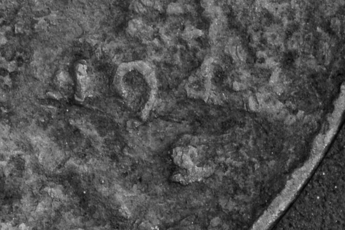 1943-S-Lincoln-Copper?