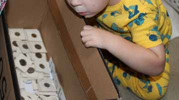 Young-Collector---Still-In-Training