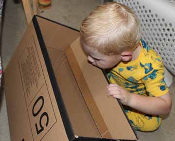 Young-Collector---Still-In-Training