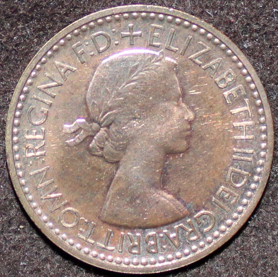 Post-Your-Bird-Coins