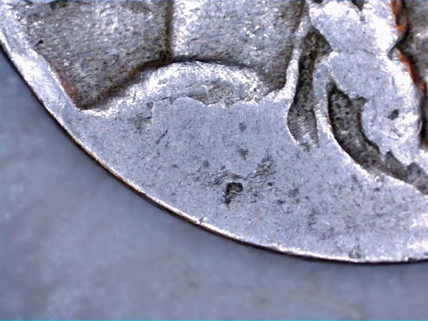 191x--D-Buffalo-Nic-It-Or-Not?
