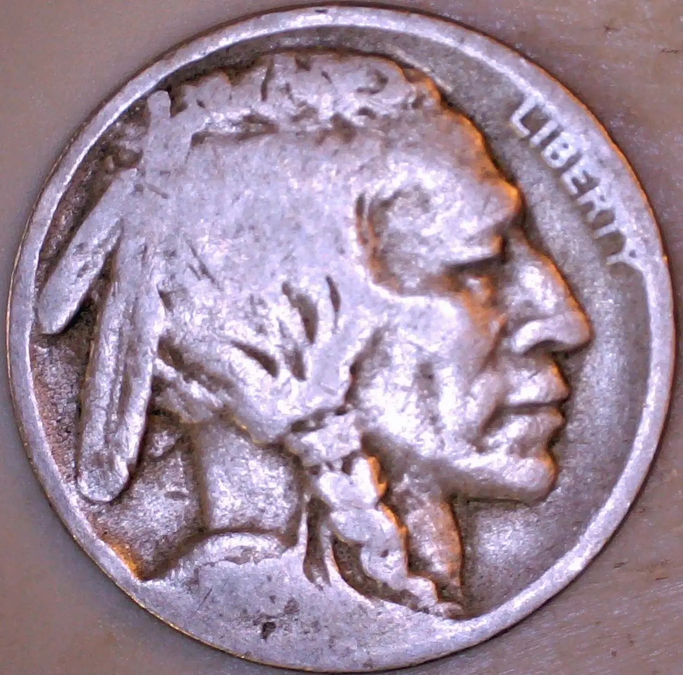 191x--D-Buffalo-Nic-It-Or-Not?