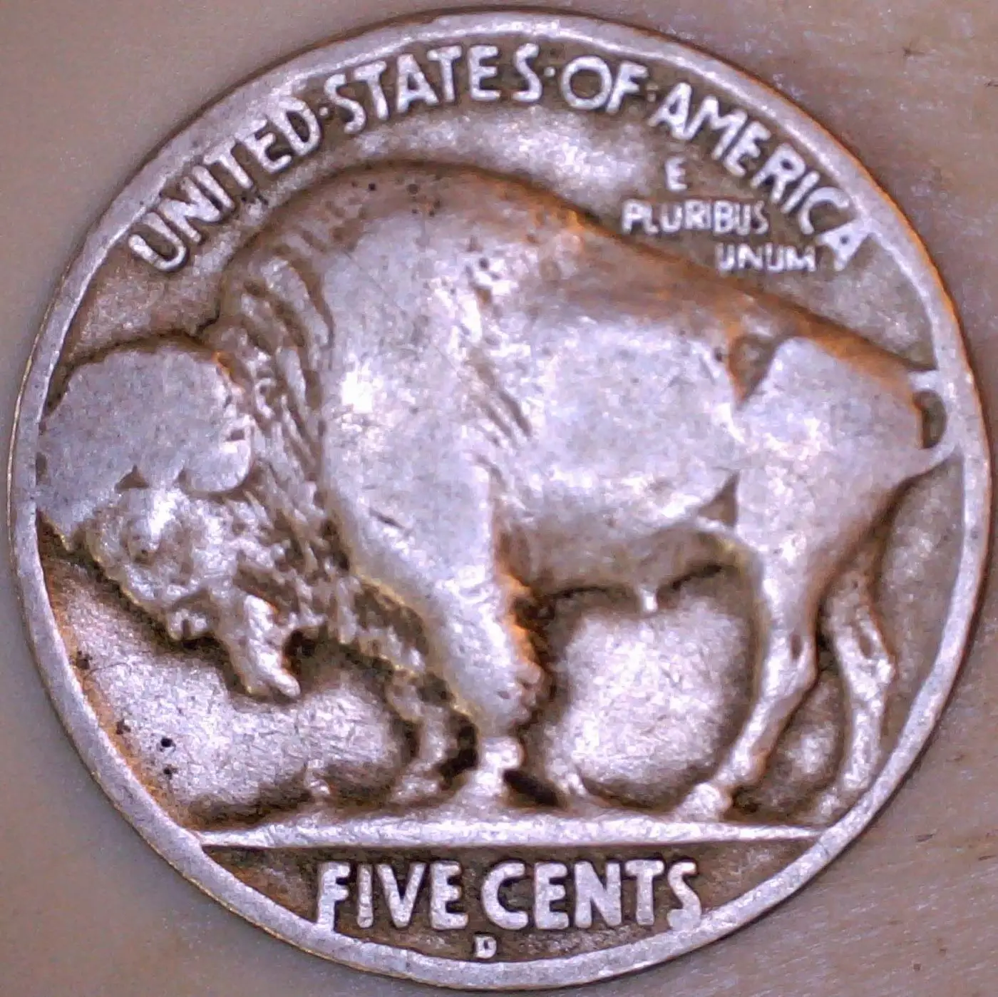 191x--D-Buffalo-Nic-It-Or-Not?